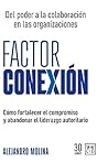 Factor conexión: ...