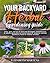 Your Backyard Herbal Garden...