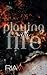 Playing with Fire (Burn for Me #1)