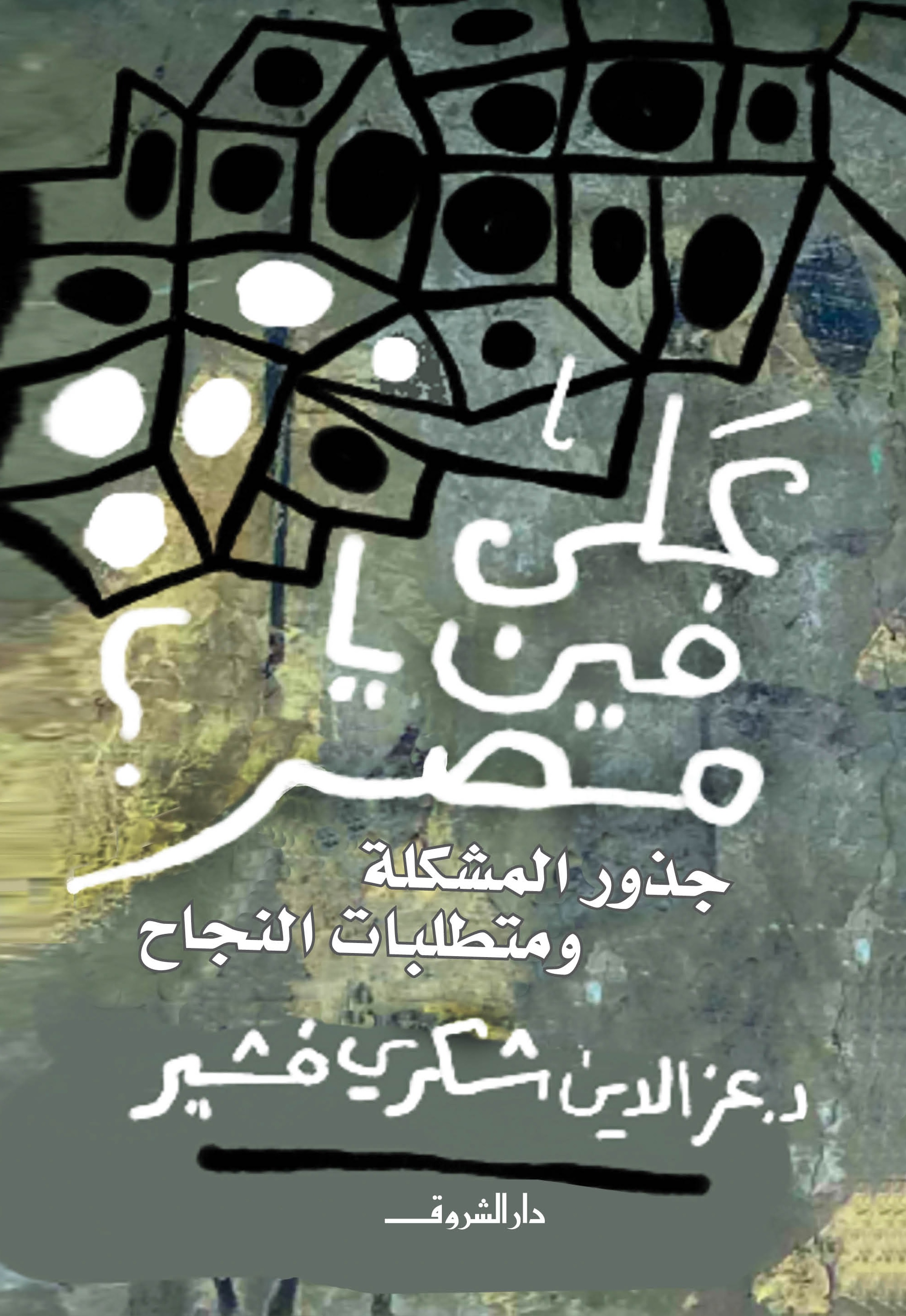 على فين يا مصر؟ جذور المشكلة ومتطلبات النجاح (Paperback)