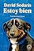 Estoy bien (Spanish Edition)