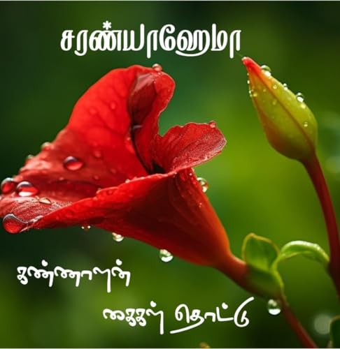 Kannaalan Kaigal Thottu: கண்ணாளன் கைகள் தொட்டு (Tamil Edition)