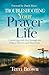 Troubleshooting Your Prayer Life: Connecting with God through the Delays, Detours, and Dead Ends
