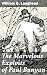 The Marvelous Exploits of P...