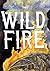 Wildfire
