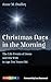 Christmas Days in the Morning by Anne Dudley