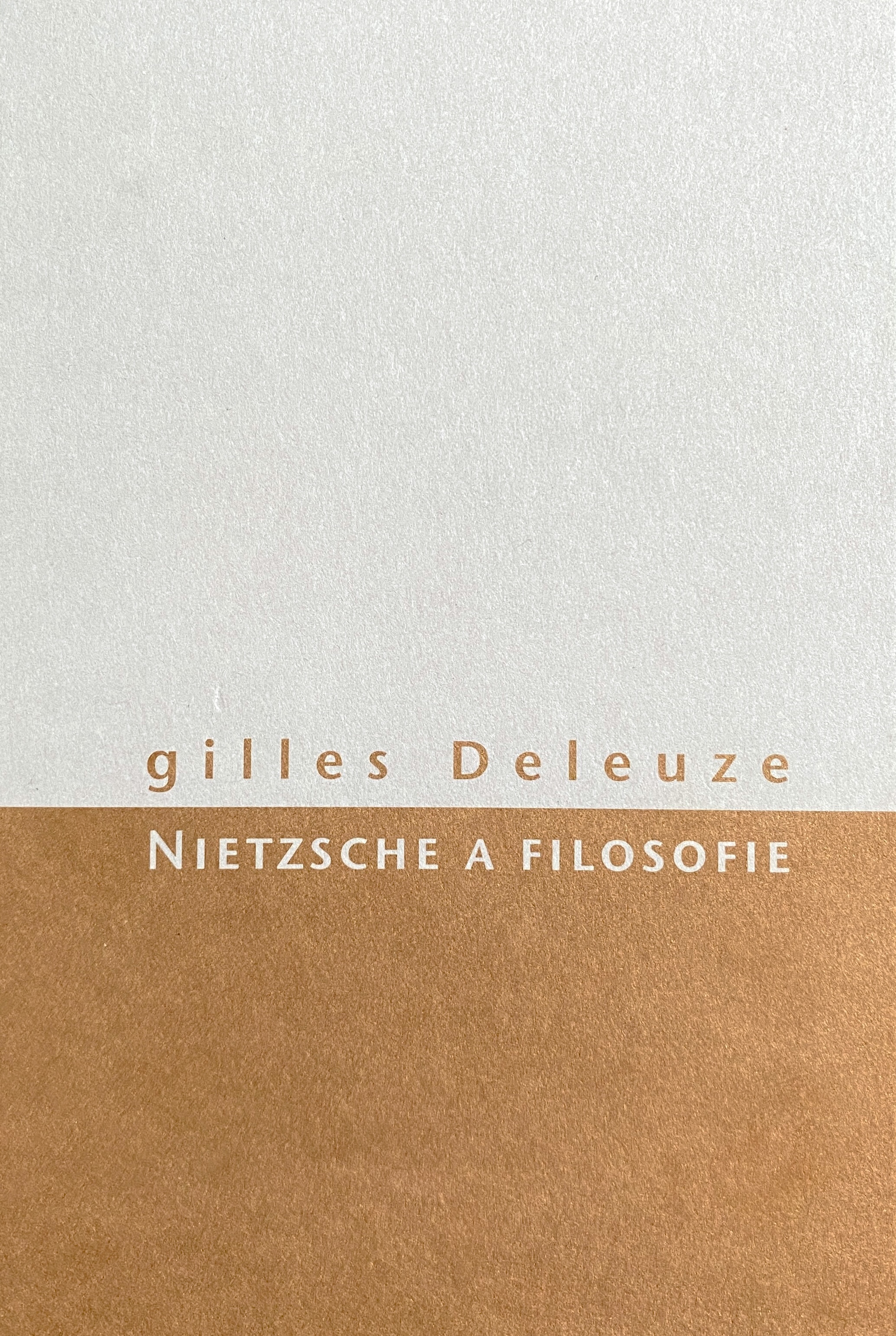 Nietzsche a filosofie