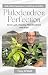 Philodendron Perfection by Tony O'Neill Philodendron Perfection by Tony O'Neill