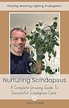 Nurturing Scindapsus: A Comprehensive Guide to Successful Indoor Plant Care Nurturing Scindapsus: A Comprehensive Guide to Successful Indoor Plant Care