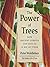 The Power of Trees: How Ancient Forests Can Save Us if We Let Them