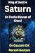 Saturn: In Twelve Houses of Chart
