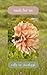 each for us: nature poems