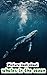 Ocean Whales: Gentle Giants...
