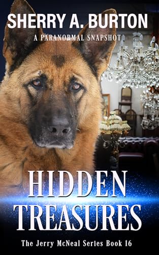 Hidden Treasures (Jerry McNeal #16)