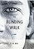 The Blinding Walk by K.M. Ross