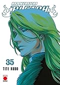 Bleach, vol. 35