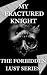 My Fractured Knight - Compa...
