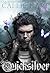 Quicksilver (Fae & Alchemy,...