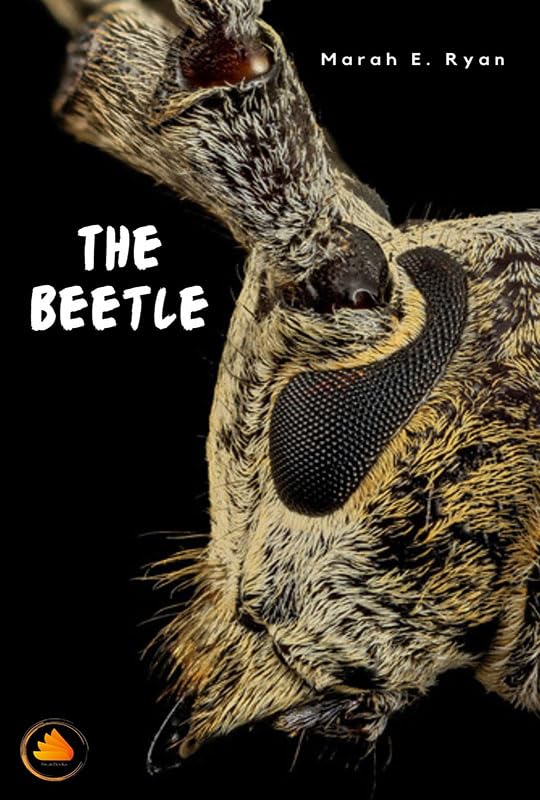 The Beetle