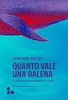 Quanto vale una b...