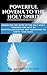 POWERFUL NOVENA TO THE HOLY...