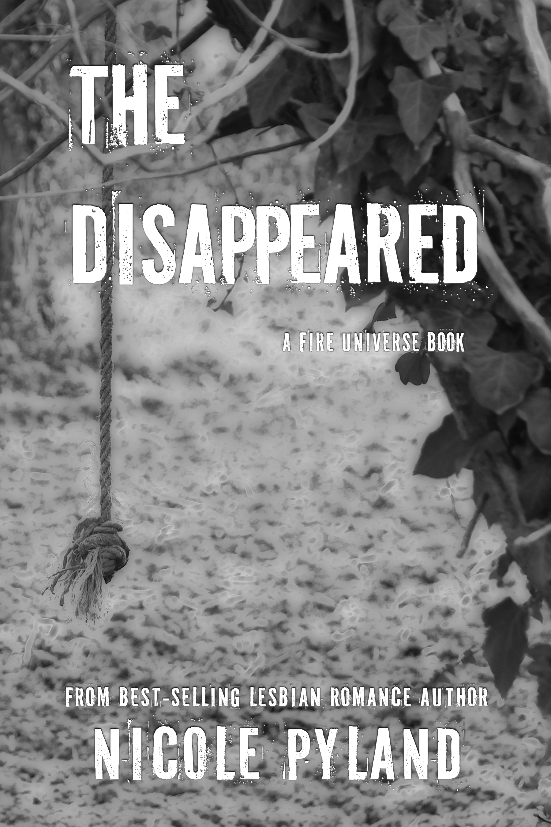 The Disappeared (Fire Universe, #2)