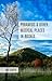 Pyramids and other magical places in Bosnia by Iris Scheys
