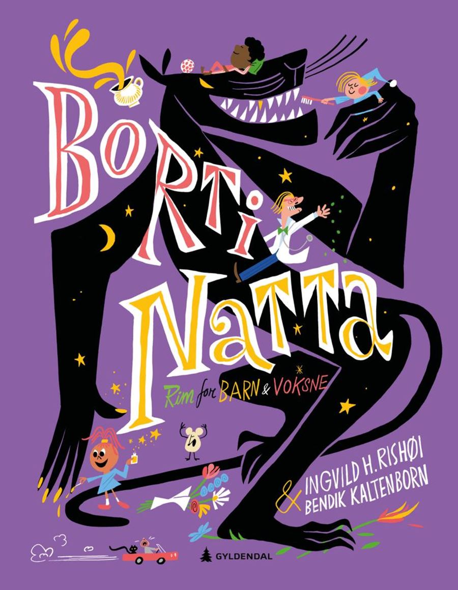 Borti natta (Hardcover)