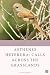 Asthenes heterura (Asthenes...