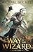 Way of the Wizard