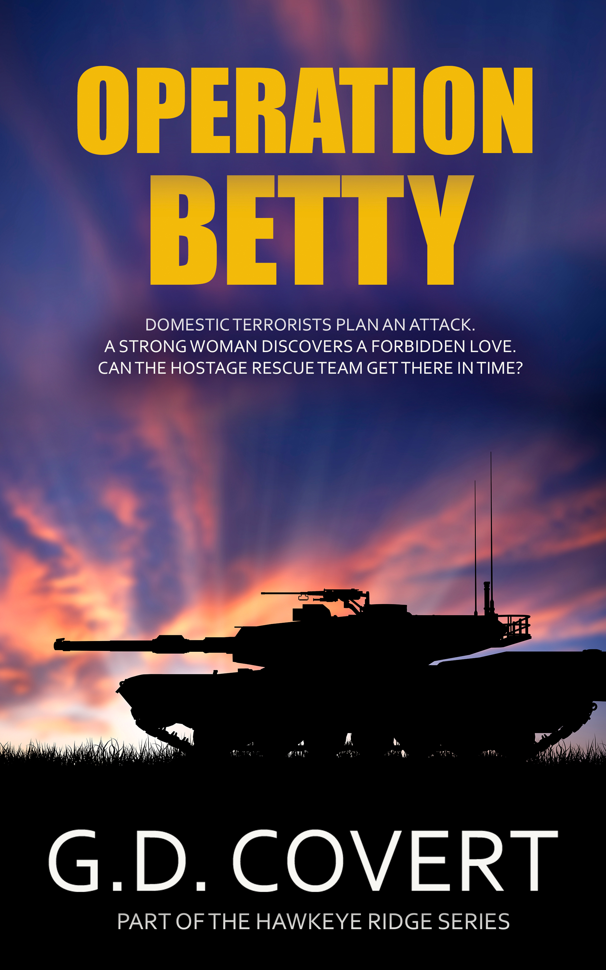 Operation Betty (Part of the Hawkeye Ridge Series)