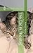The Cat In The Bag: An alternative perspective on The Summer House Trilogy by Alice Thomas Ellis