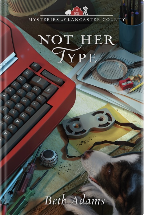 Not Her Type (Mysteries of Lancaster County # 20)