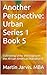 Another Perspective: Urban Series 1 Book 5: Cultivating Unity and Legacy in the African American Narrative II (Transforming the Urban Community)