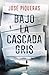 Bajo la cascada gris