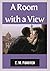 A Room with a View (2023 UPDATE-ILLUSTRATED): A new kind of fiction that challenges everything you know about love, desire, and the future.