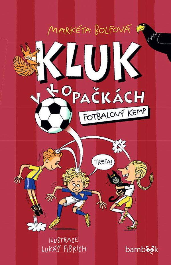 Fotbalový kemp (Kluk v kopačkách, #2)