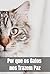 Por que os Gatos nos Trazem...