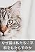 Why Cats Bring Us Peace