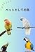 Birds as Pets: Care and Tips