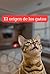 El origen de los gatos: La ...