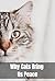 Why Cats Bring Us Peace