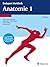 Endspurt Vorklinik: Anatomie 1