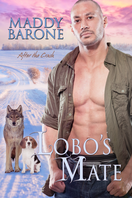 Lobo's Mate: After the Crash Book 4.5