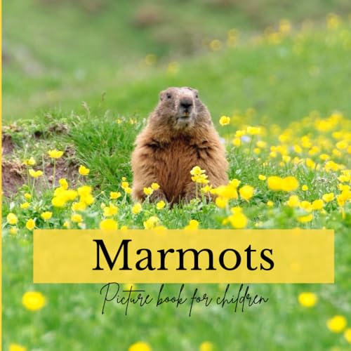 Marmots: Picture book for children (Paperback)