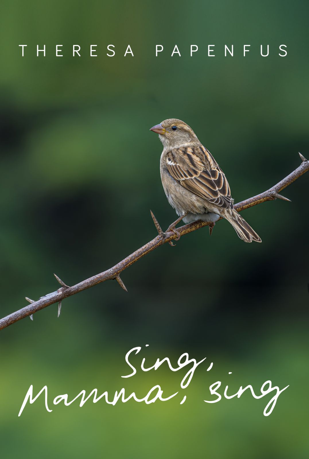 Sing, Mamma, sing (Paperback)