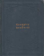 Examples of Goodness (Hardcover)