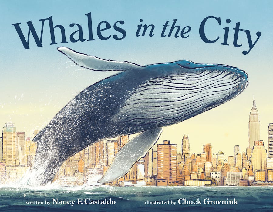 Whales in the City (Hardcover)