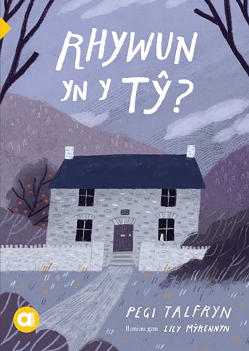 Cyfres Amdani: Rhywun yn y Tŷ? (Paperback)