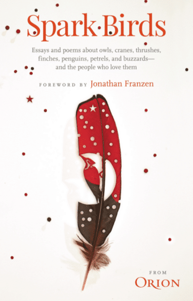 Spark Birds (Hardcover)